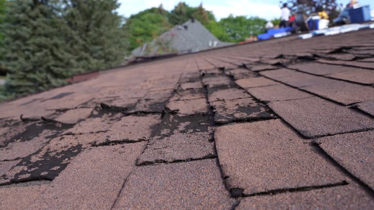 Roof Insulation Installation in Arden Hills, MN