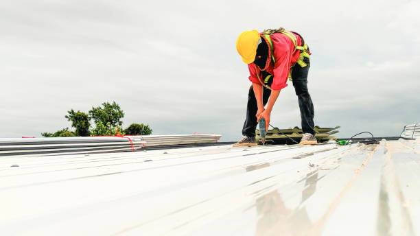 Best Roof Maintenance and Cleaning  in Arden Hills, MN