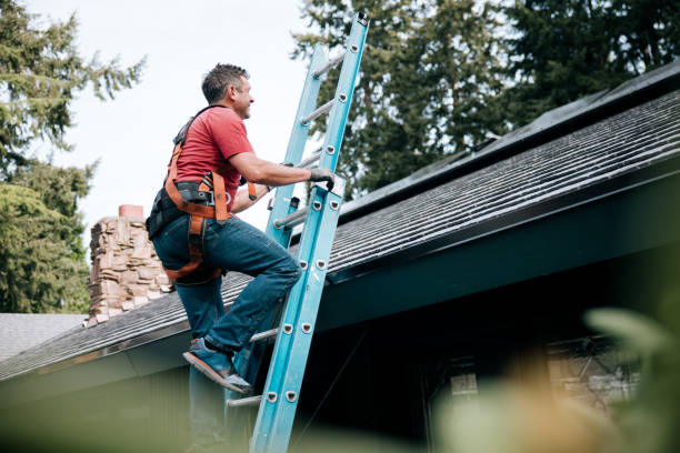 Best Sheet Metal Roofing  in Arden Hills, MN