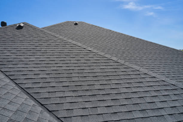 Best Roof Leak Repair  in Arden Hills, MN